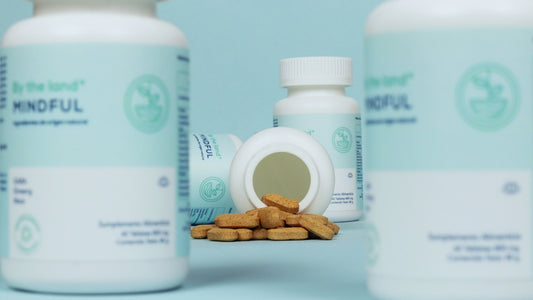 ¿Cómo, cuándo y porqué debo consumir suplementos para mejorar mi calidad de vida?