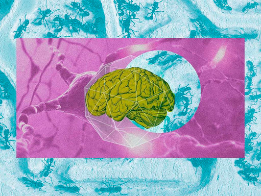 ¿Cómo funciona tu cerebro? Así es la actividad cerebral cuando tienes una gran idea