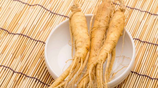 Atrévete a incluir Panax Ginseng a tu vida