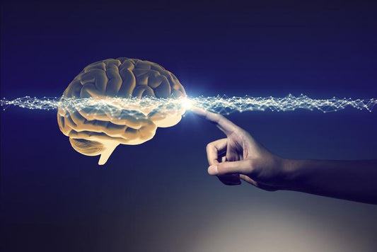 Dormir mejor te hace más inteligente: una mezcla de nootrópicos